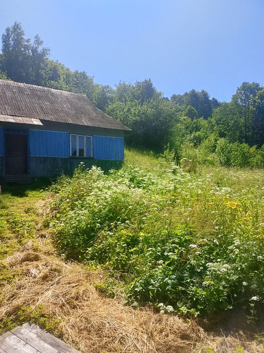Продається дерев'яний будинок  село Чемиринці.