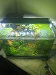 Aquario nano completo