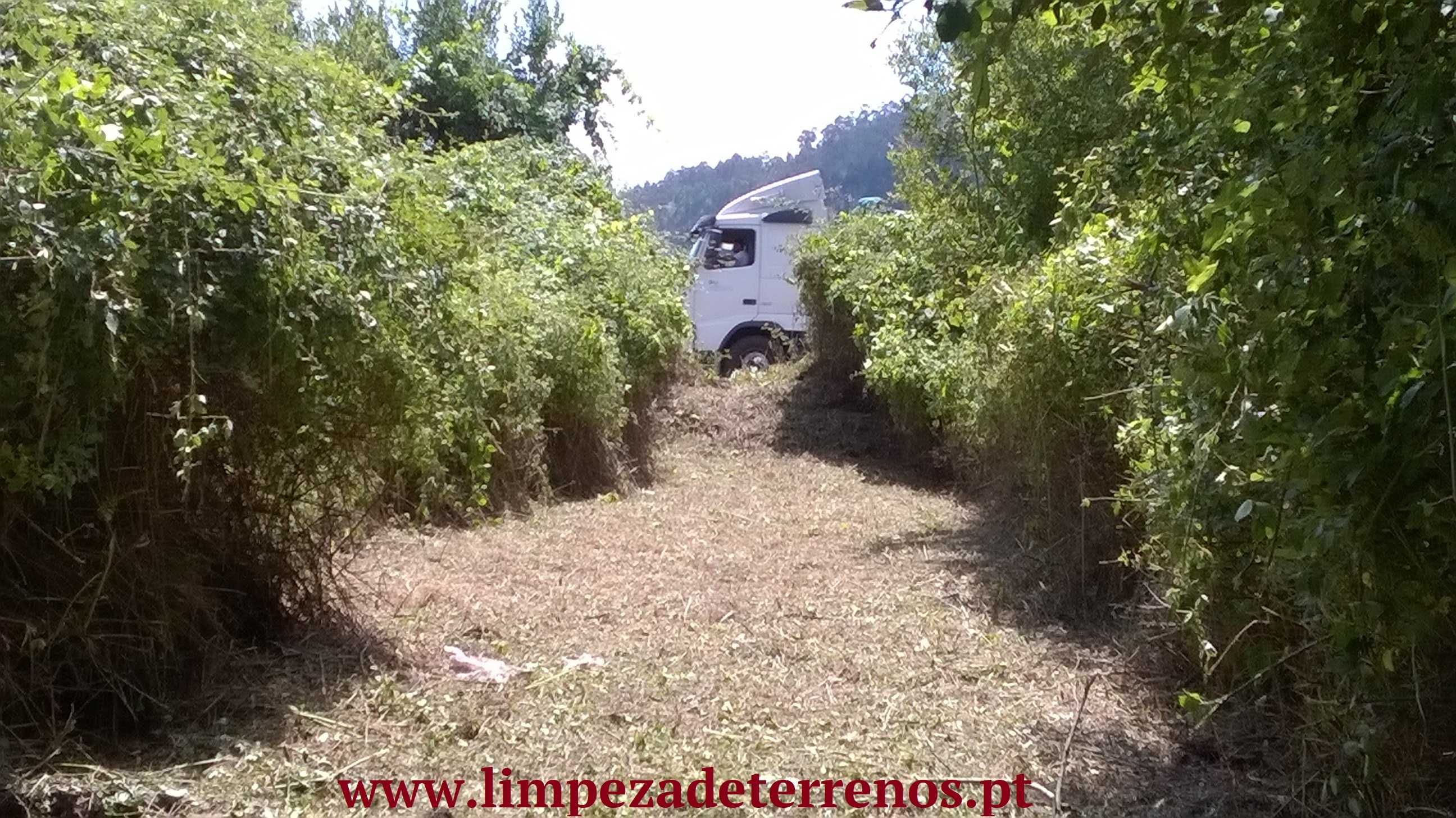 Limpeza de terrenos e poda de árvores