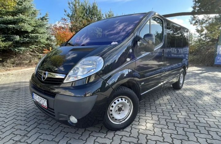 Opel Vivaro 2.5 CDTI L2H1 Life Cosmo