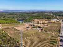 Herdade- Adega - Vinha - Marcas - Beira Interior