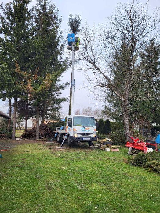 Wycinka drzew i krzewów, frezowanie pni, rębak, usługi ogrodnicze