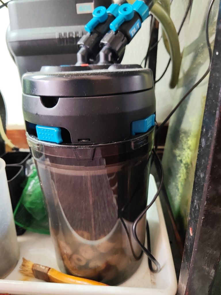 Aquário para peixes