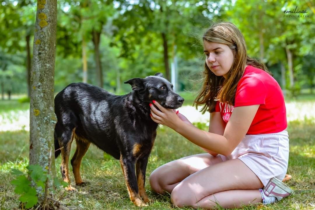 Pilnie szukamy Domu dla naszej nieśmiałej suni!