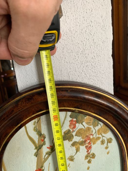 Pintura de papagaio