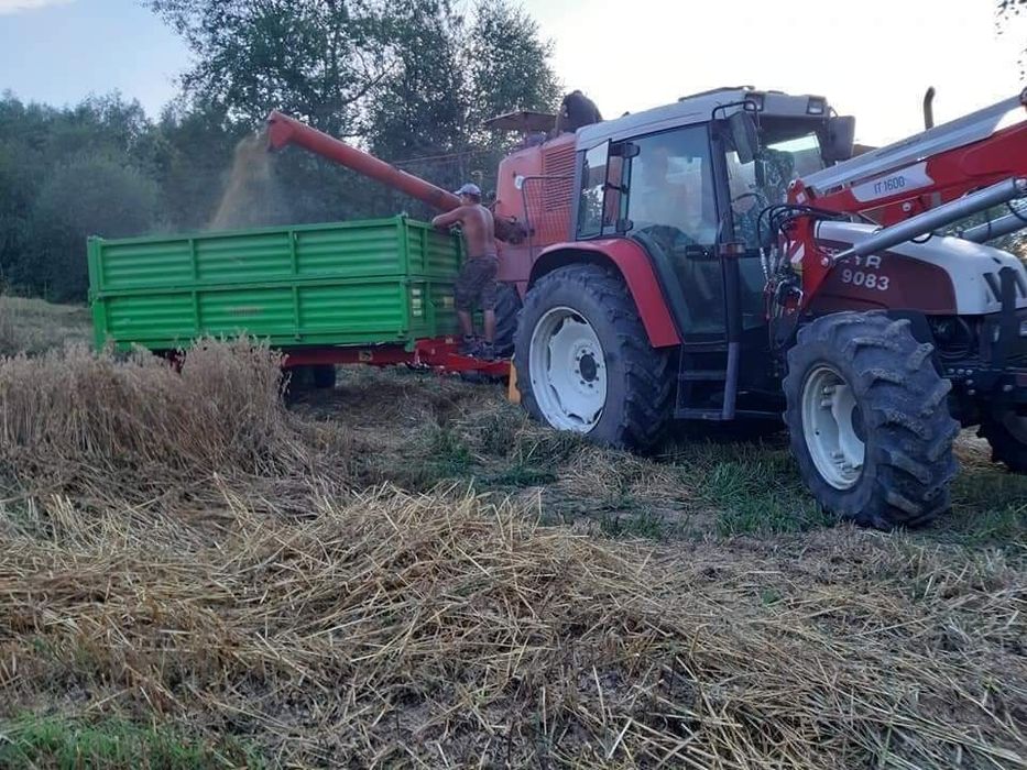 Karp amur szczupak pstrąg sum sandacz Jesiotr węgorz