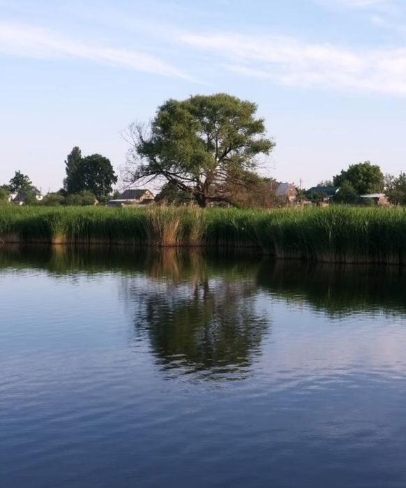 ‼️ Продаж земельної ділянки 16 соток – с. Козинці, Бучанський район ‼️