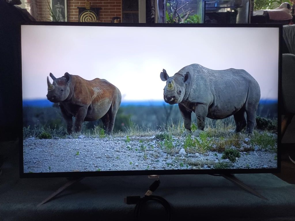 Monitor Philips 43" 4K UHD led IPS