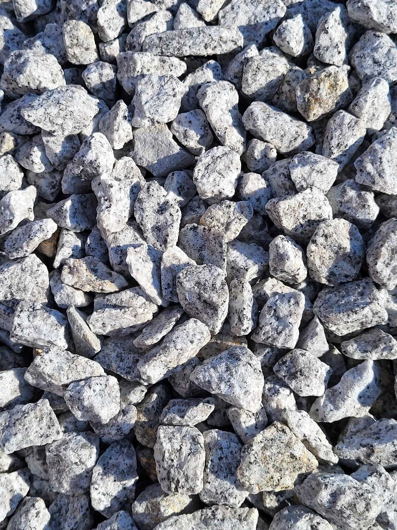 Grys granit Dalmatyńczyk 8-16, 16-22 Kamień ogrodowy dekor ozdobny