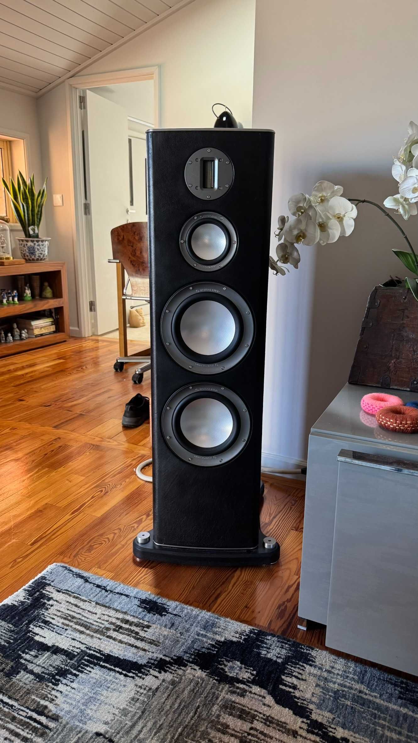 Vendo Colunas Monitor Audio PL 300