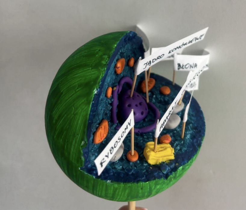 Model komórki zwierzęcej na biologię hand made