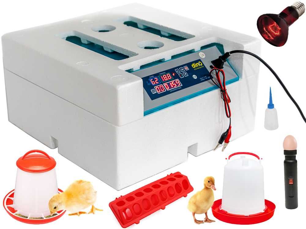 Inkubator Automat DINO 230V / 12V na 56 jaj klujnik wylęgarka +Owoskop