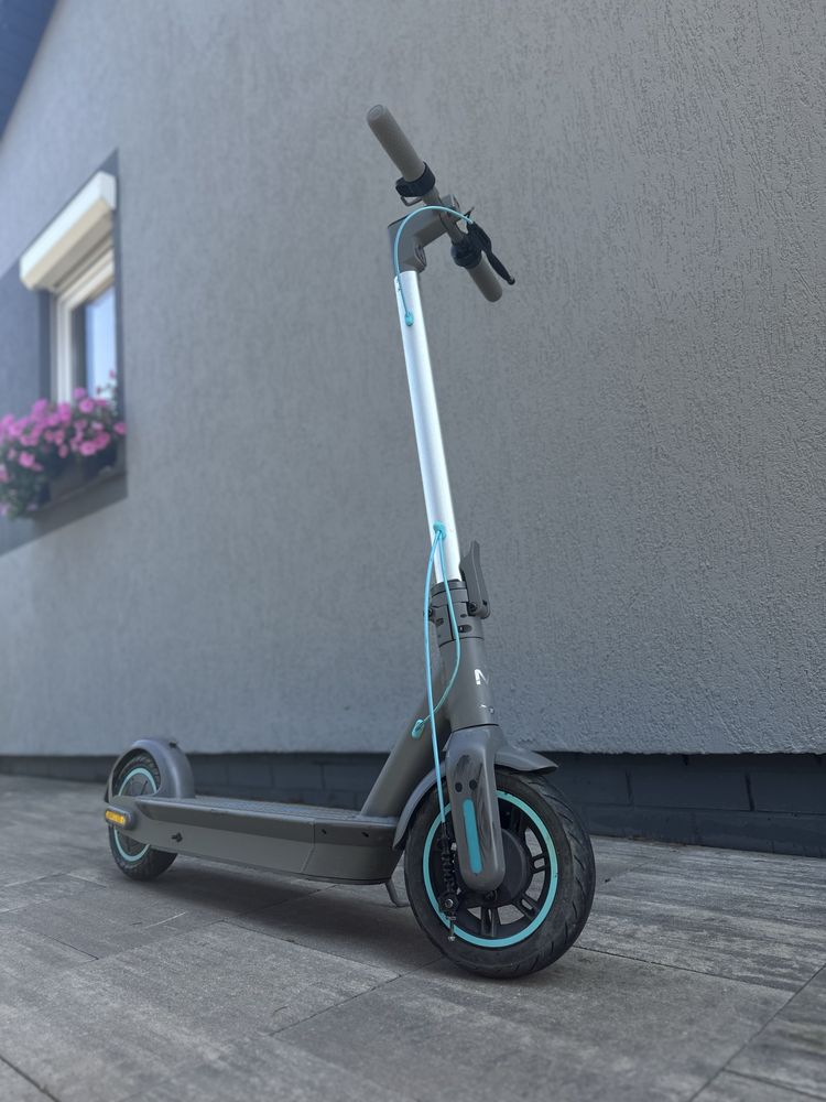 Motus scooty 10 2022