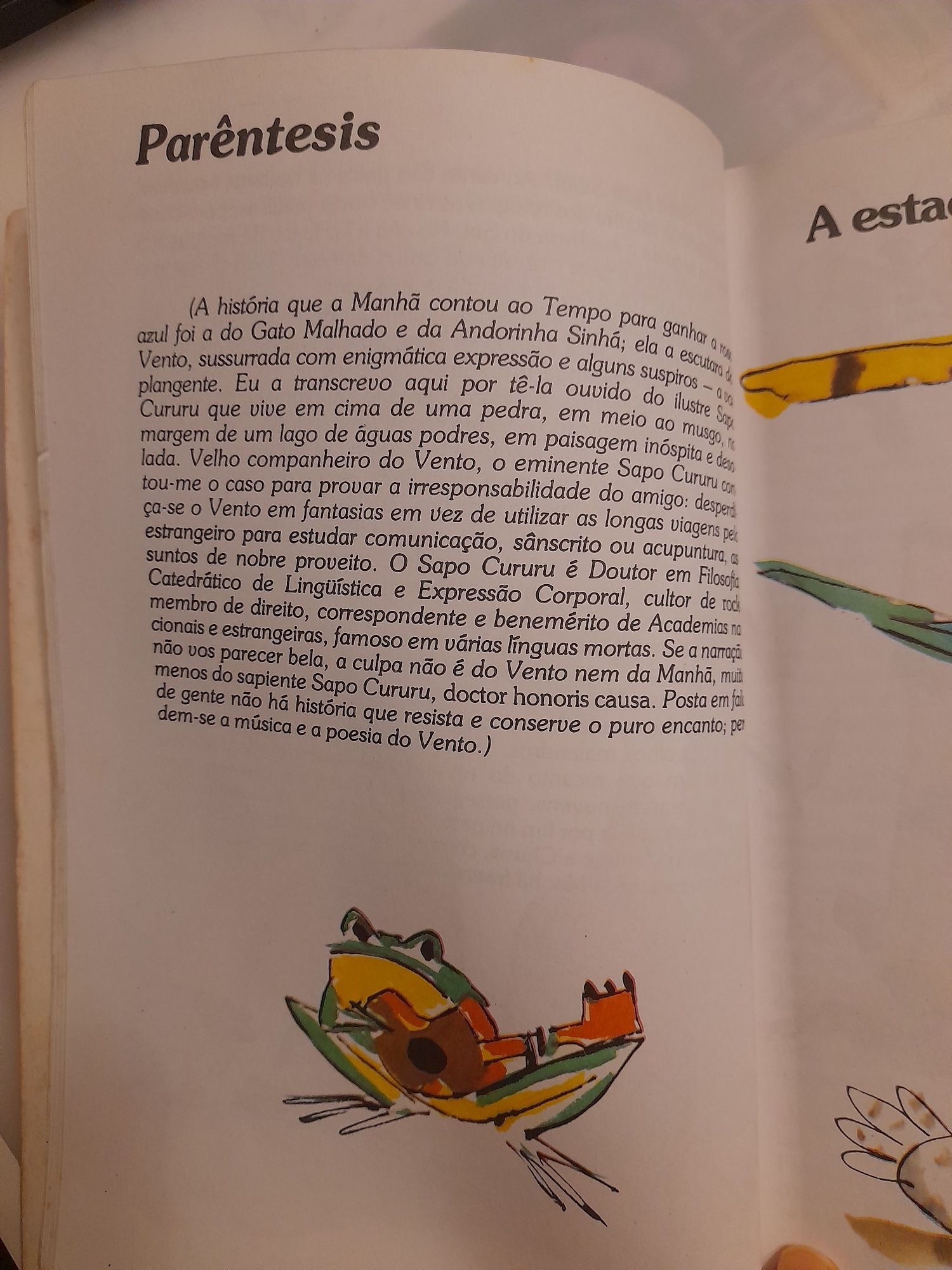 Livro "O gato malhado e a andorinha sinhá"