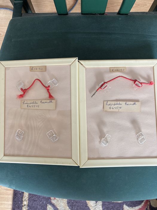 2 Quadros antigos borboleta e plantas