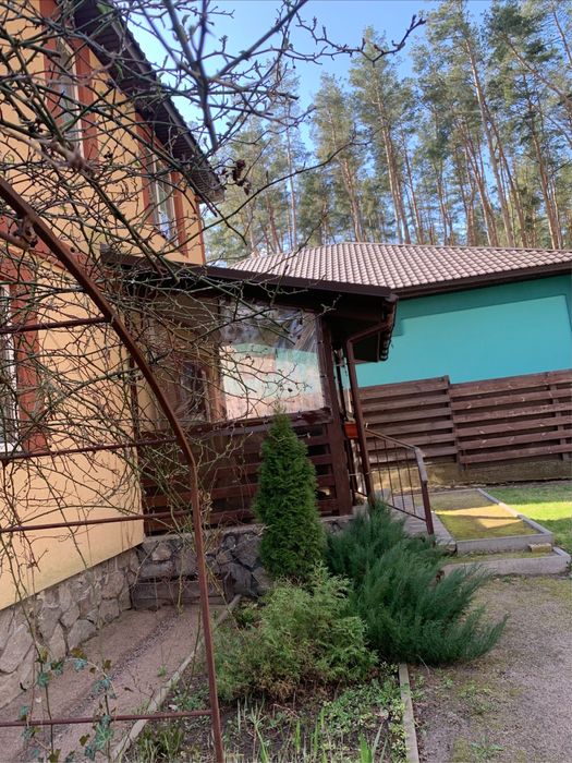 Продаж будинку в сосновому лісі | 120 м² на 8 сотках | Березенщина