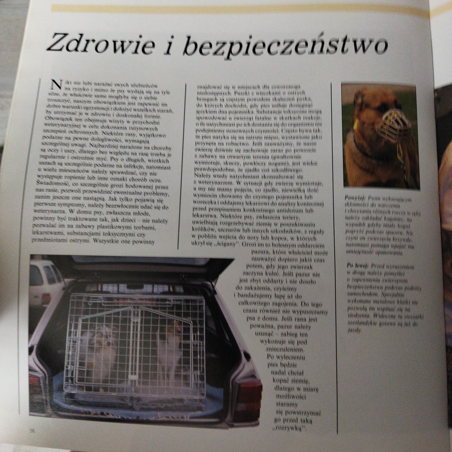 Wszystko o psie bogato ilustrowany atlas