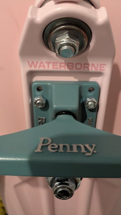 Penny×WATERBORNE Cactus Wanderlust 29 surfskate