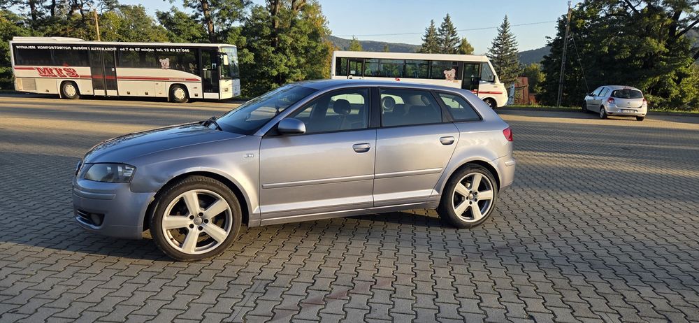 Audi A3 8p 2.0 tdi