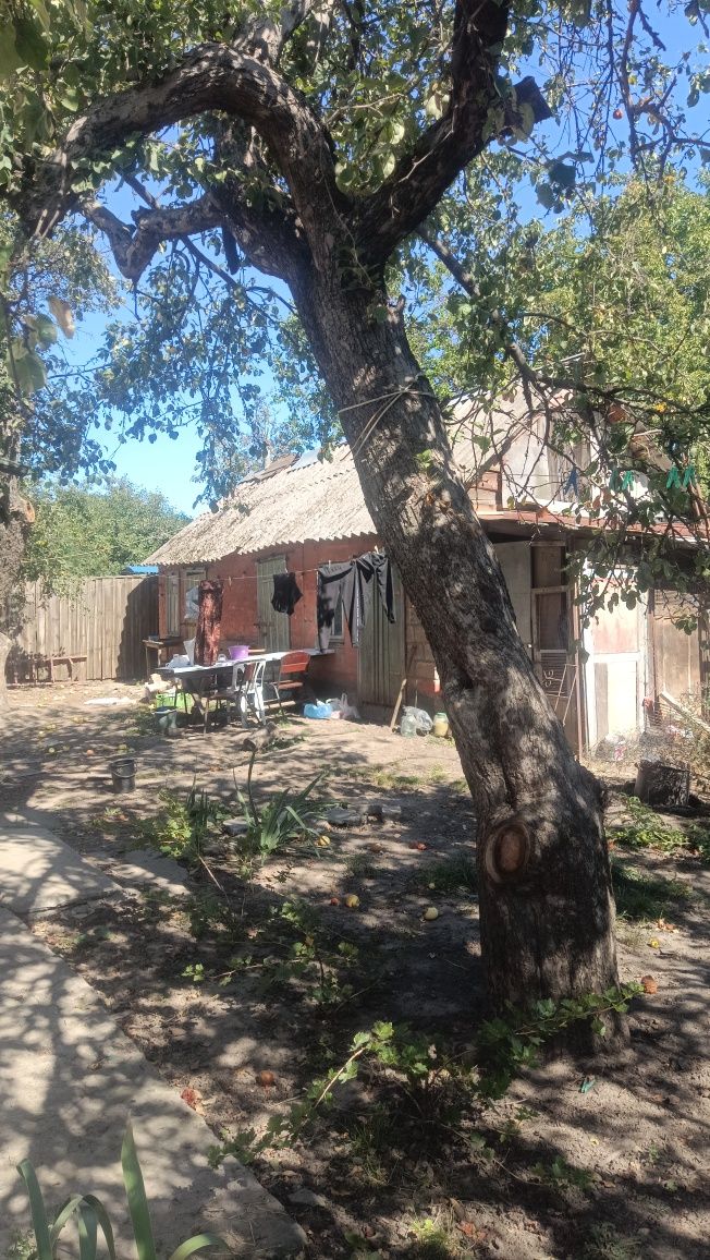 Спиляти дерева собі на дрова