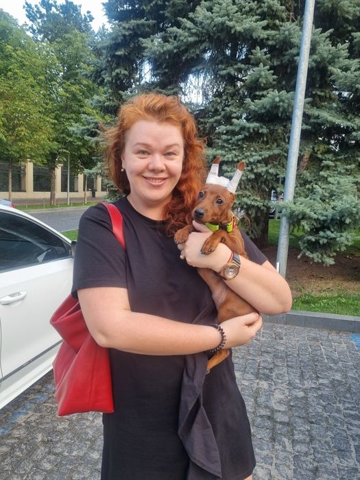 Цвергпінчер гарні хлопчики