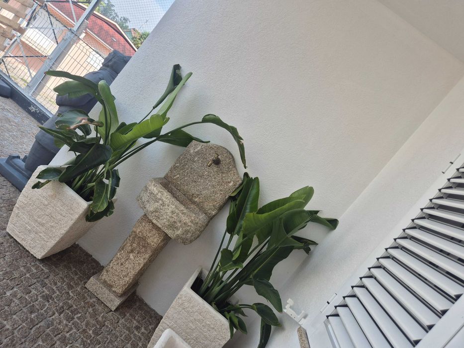 2 vasos pedra grandes