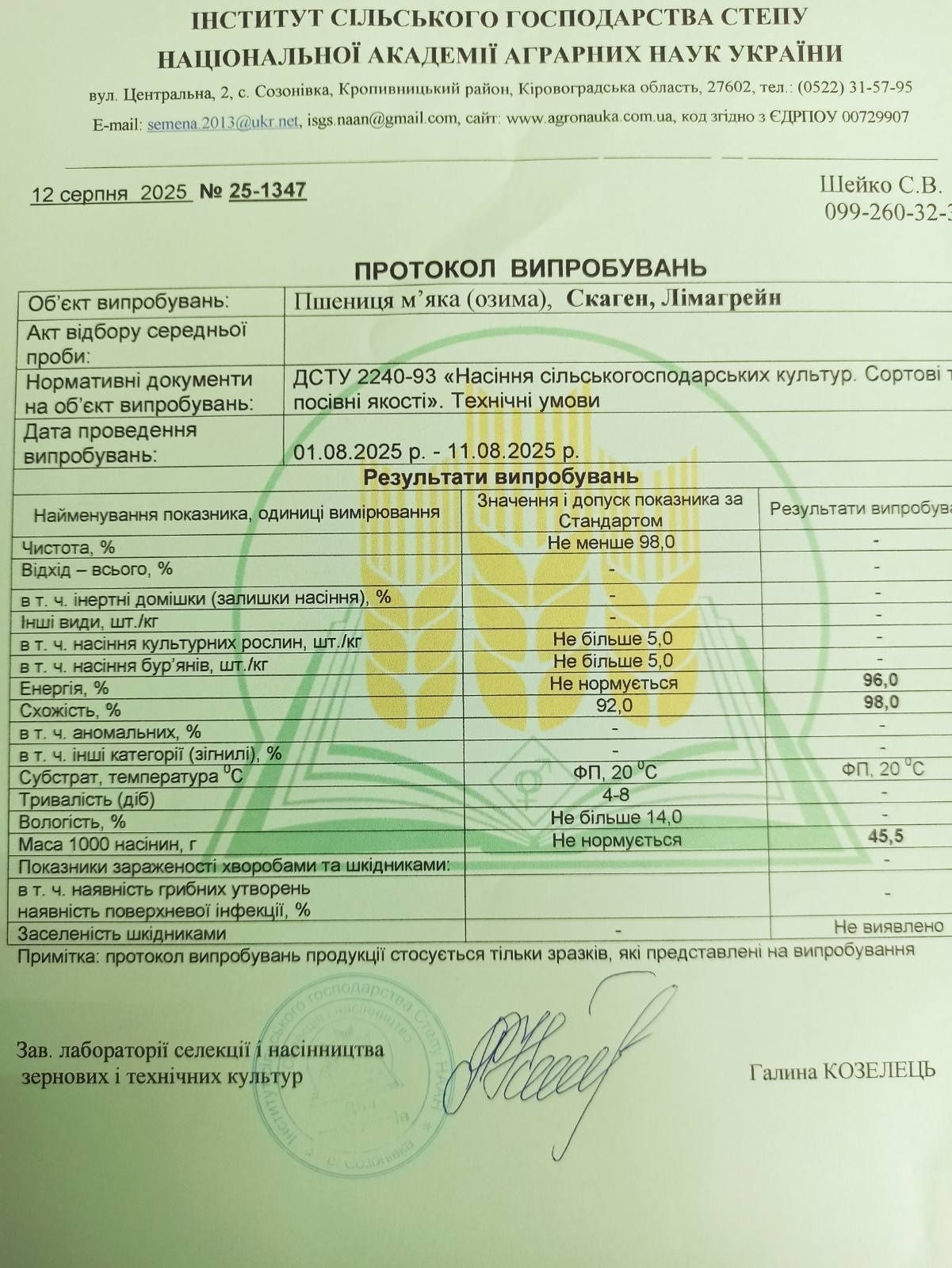 Посівний матеріал пшениця Скаген  Лімагрейн Німеччина