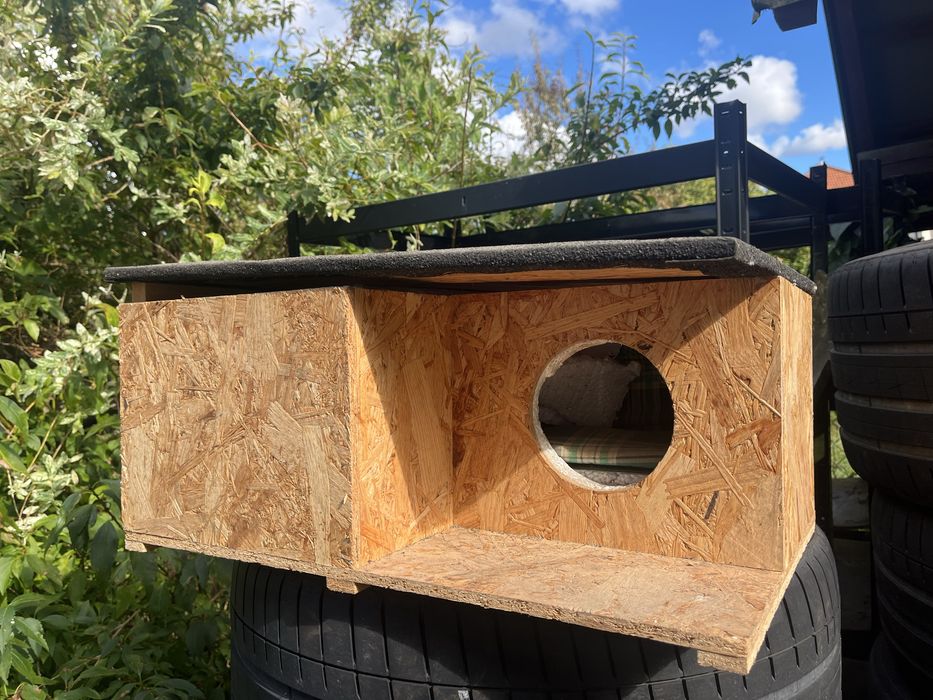 Kocia budka - zimowanie