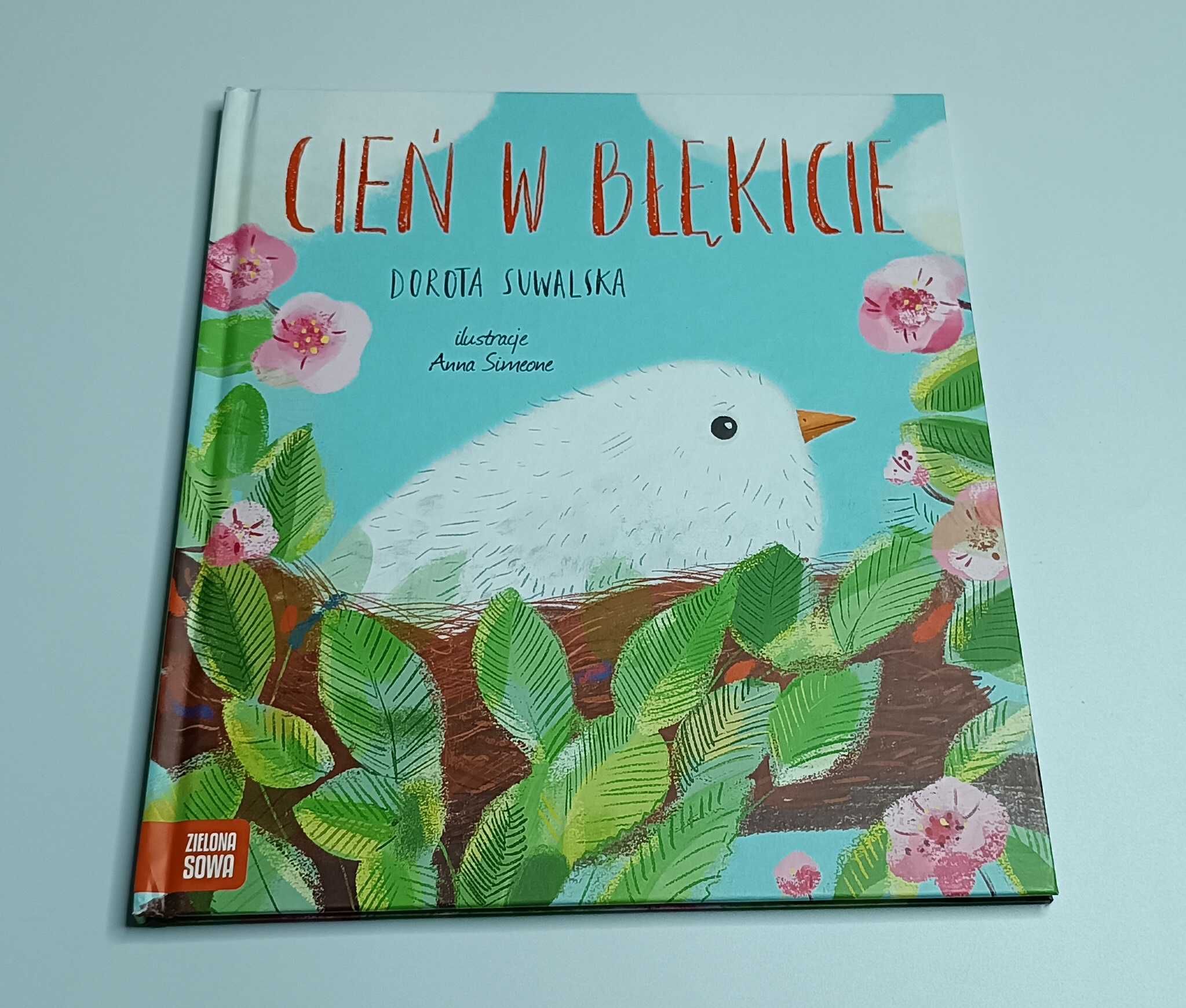 Cień w błękicie Dorota Suwalska