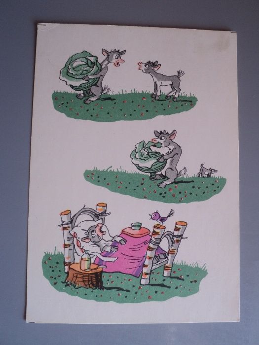 открытка СССР Александрович Кот Кошка Коза 1964