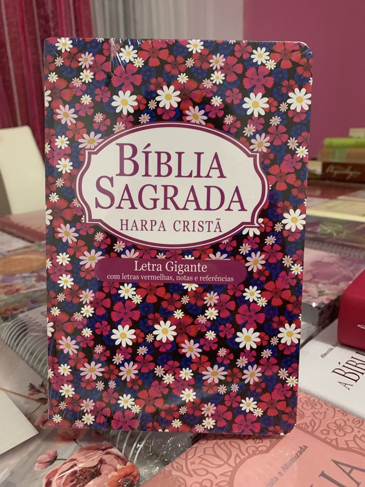 Biblias e livros