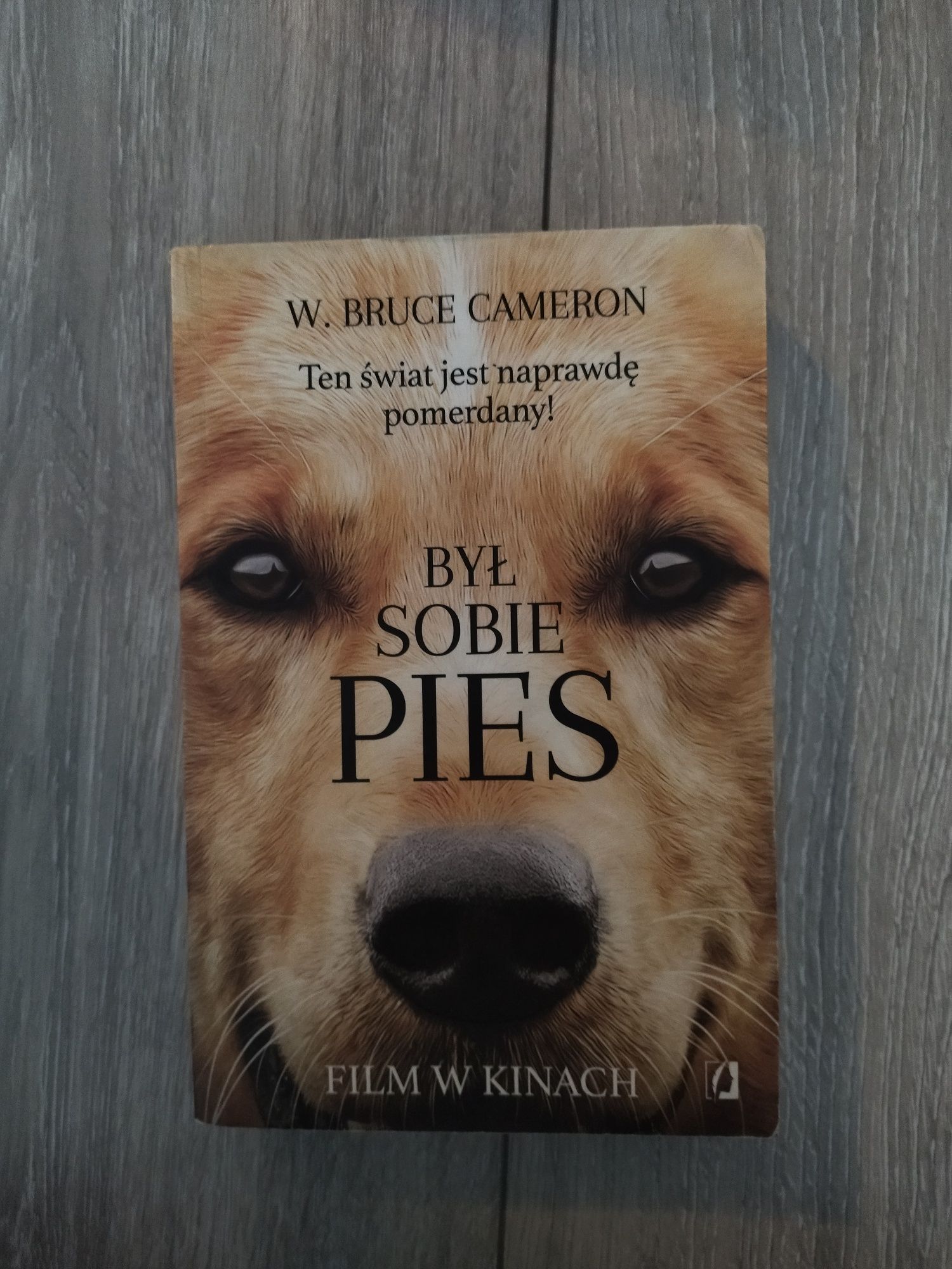 był sobie pies w.bruce cameron