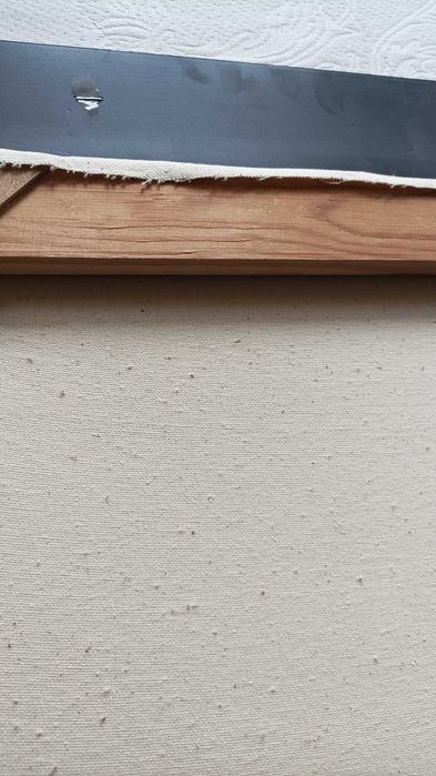 Картина "Венеція опівдні", олія