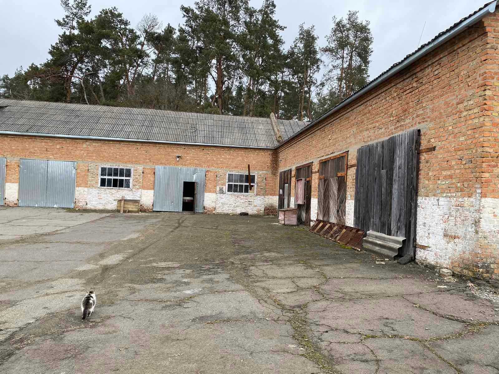 Виробничо-складські приміщення з асфальтованою териториєю 2 Га