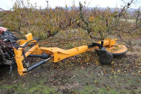 Mechaniczna tarcza do ścinki drzew SERRAT