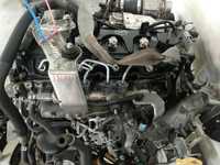 Motor Nissan Navara Pathfinder Murano 2.5Dci 190Cv Ref. YD25DDTI