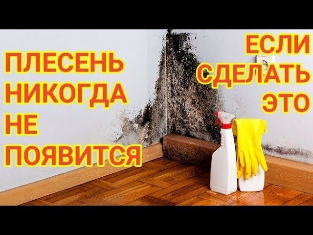 Уничтожение Травля Тараканов Клопов  Знищення Клопів Тарганів Прусаків