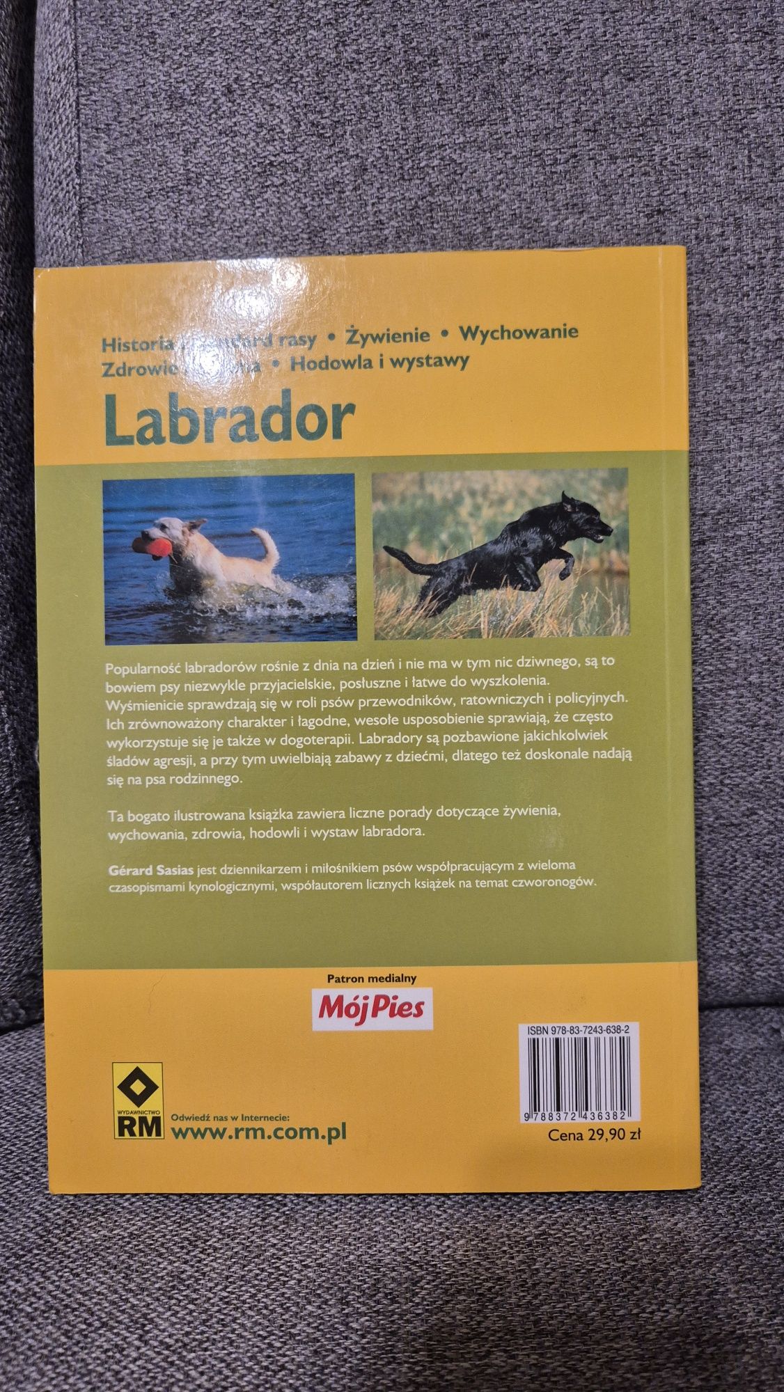 Labrador Opieka i Hodowla Gerard  Sasias