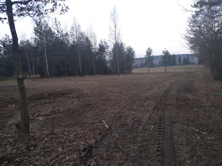 Mulczowanie Mulczer leśny Wgłębny Karczowanie Czyszczenie Wycinka