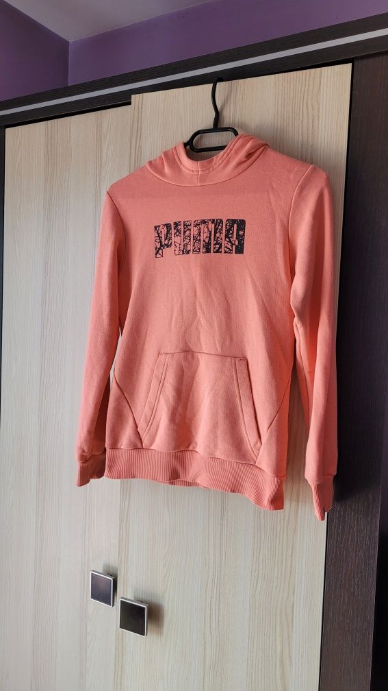 Bluza z kapturem Puma koralowy morelowy 97%bawełna 152cm