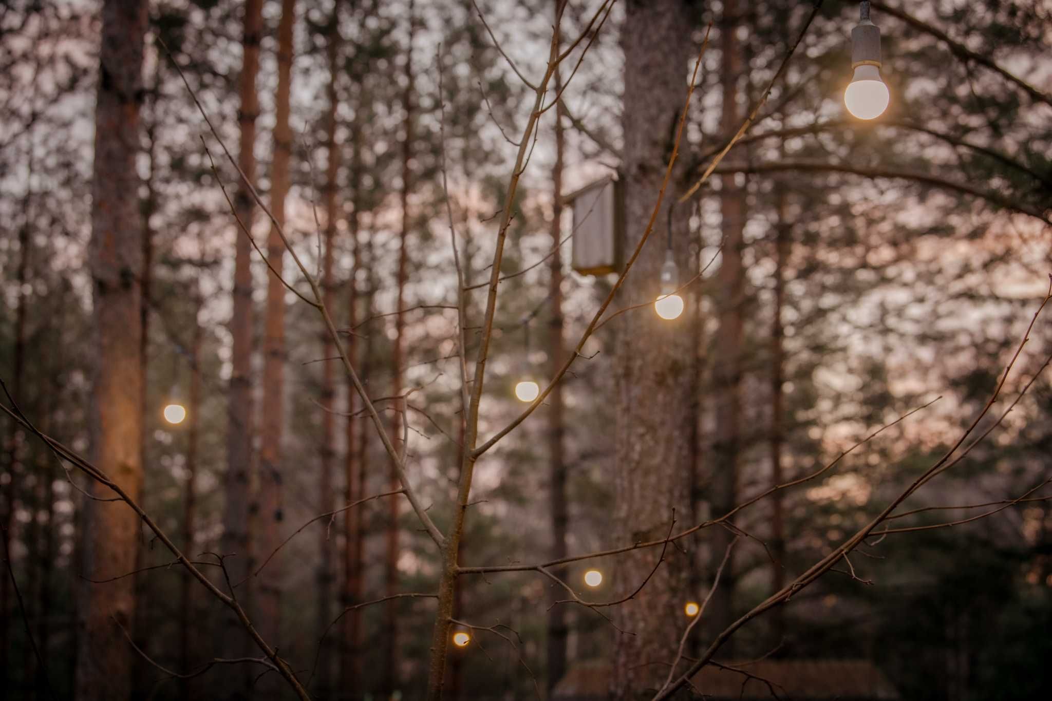 domek w lesie, jezioro Zelwa, Podlasie.