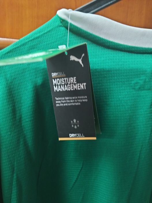 Camisola futebol palmeiras