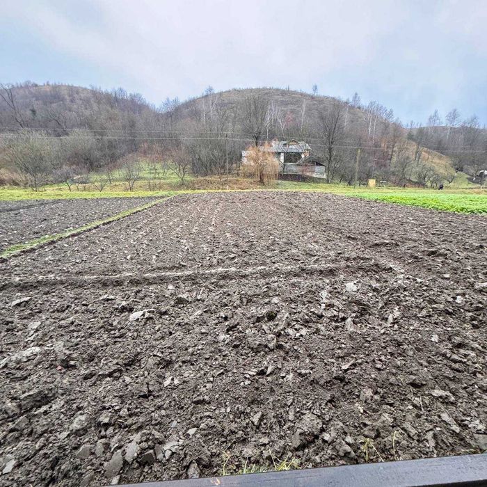 Продаж 2-х будинків за ціною одного в с.Нижнів ,Івано-Франківська обл.