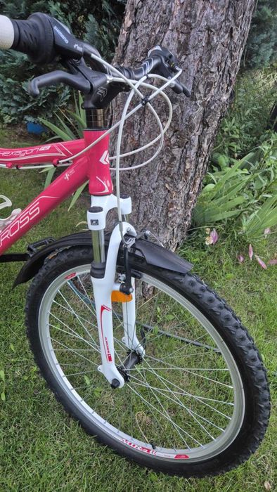 Rower Kross Hexagon F2