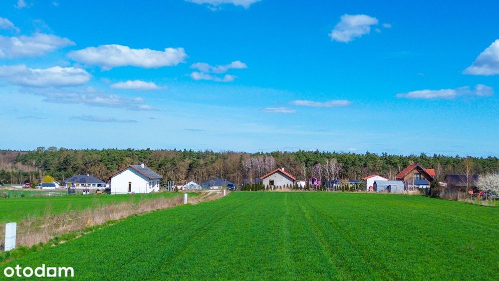 Działki pod Lasem od 1003m2