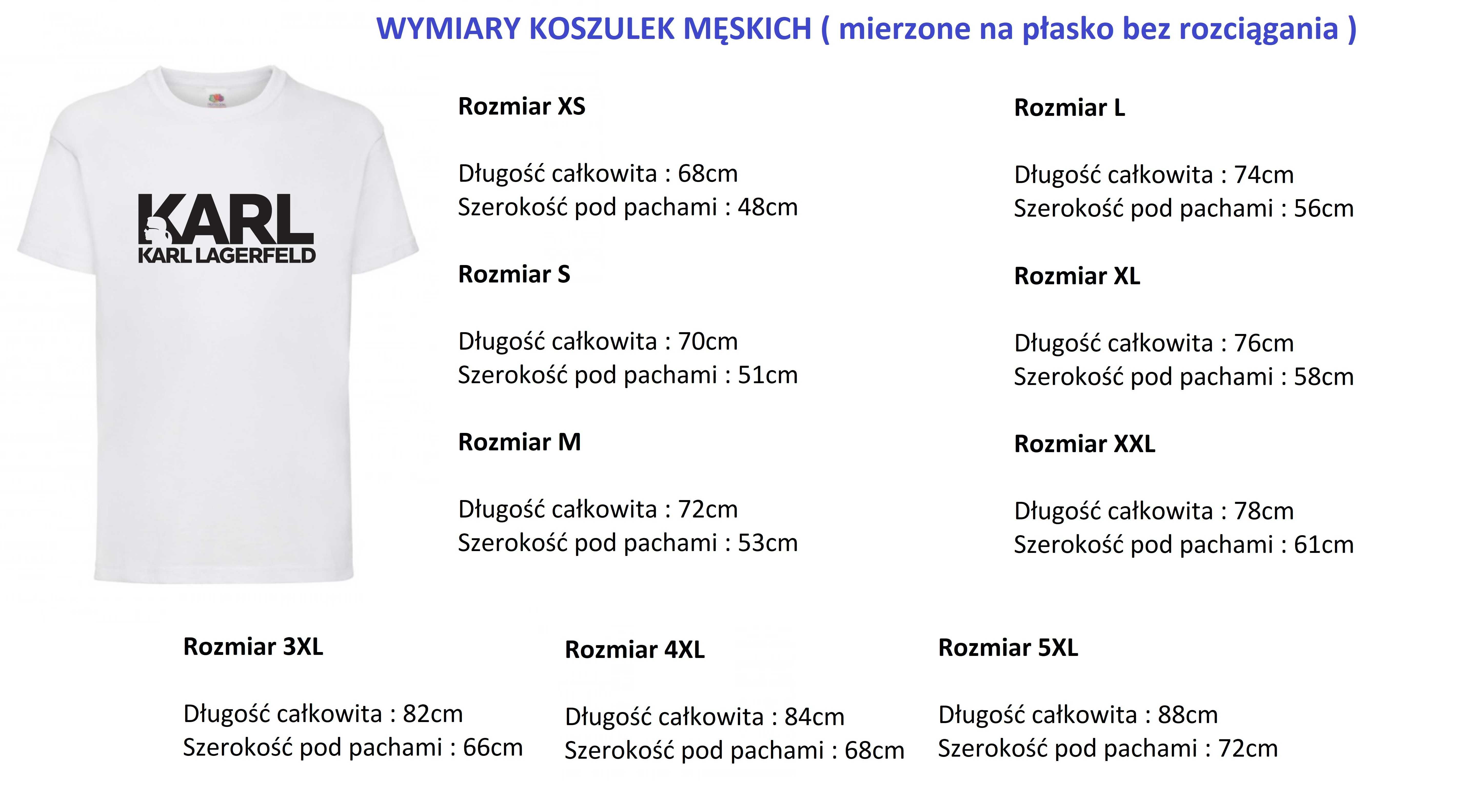 Męska koszulka Lacoste / T-shirt mix wzorów