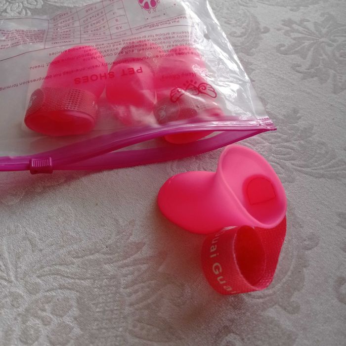 Buty, buciki jesienne dla małego psa