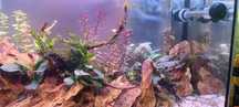 Aquário 120L de 100cm