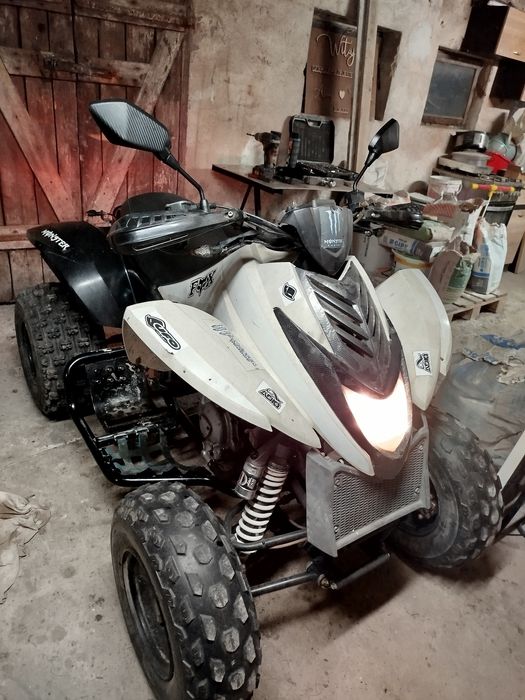 Quad Dinli Masai 300