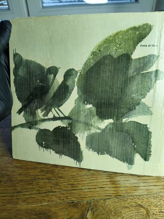 Książka dla dzieci Deszczowa muzyka ⁵⁸